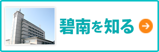 碧南を知る